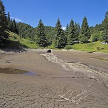 3.7.2015 Stratenská píla